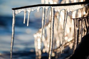 surviving your first winter in boston, MA