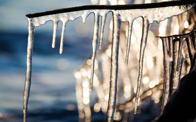 Surviving Your First Winter in Boston, MA – Tips For Warmth